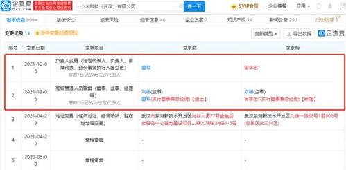 雷軍卸任小米科技武漢高管職務，聚焦戰略布局與數據處理業務發展